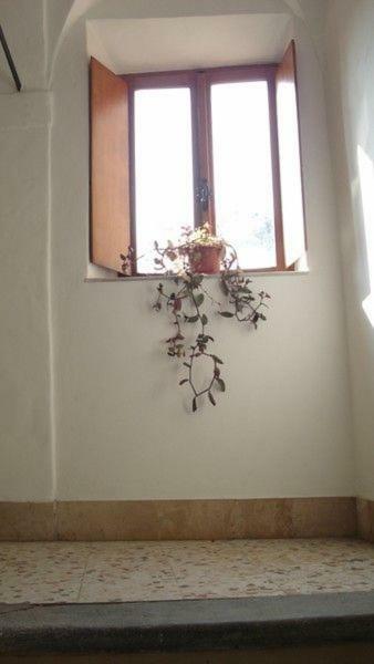 Casa Maria E Casa Cristina Lejlighed Orvieto Eksteriør billede